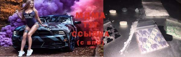 крисы Горняк