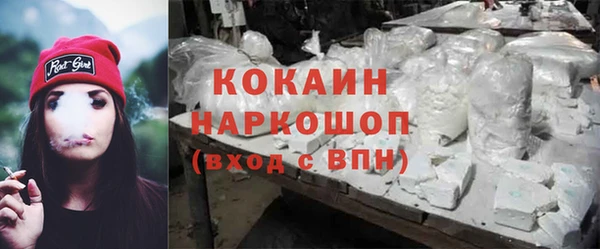 крисы Горняк