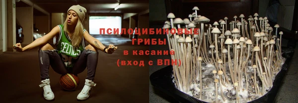 гашиш Горнозаводск
