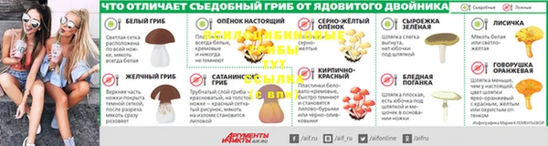 крисы Горняк