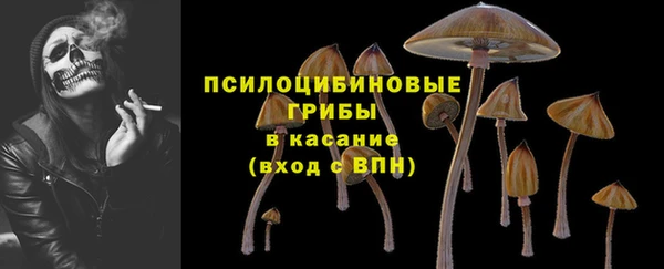 крисы Горняк