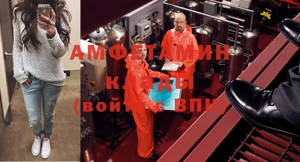 крисы Горняк