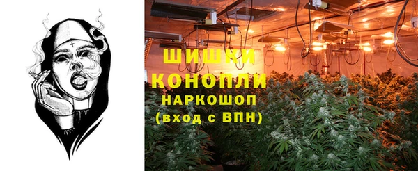 крисы Горняк