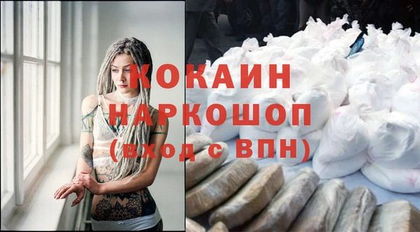 крисы Горняк