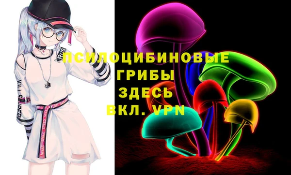 крисы Горняк