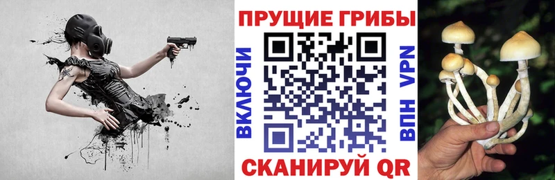Галлюциногенные грибы Cubensis  Закаменск 
